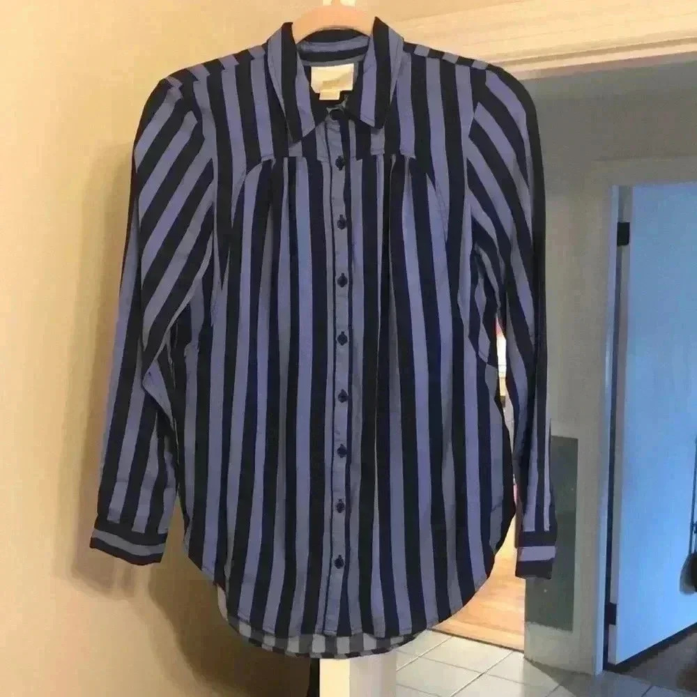 Anthropologie Blue and Black Striped Button-Down Shirt